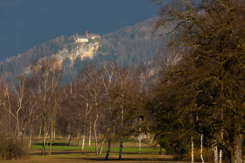 Lauteracherried im Jänner 60